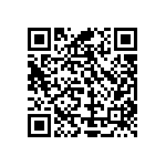 Y16252K29100Q0R QRCode