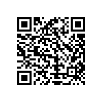 Y16291K00000T9R QRCode