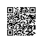 Y16291K30000T0W QRCode