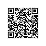 Y16293K01000B9L QRCode