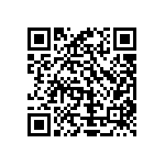 Y16295K00000T0W QRCode