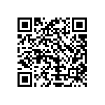 Y16295K62000T9R QRCode