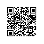 Y163013K2200T9R QRCode