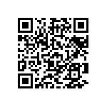 Y16303K00000T0R QRCode