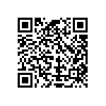 Y16304K99000T0R QRCode