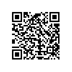 Y16305K00000T9R QRCode