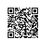 Y1633100K000T9W QRCode