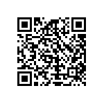 Y16361K20000T9W QRCode