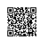 Y16361K65000T9W QRCode