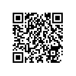 Y16902R50650B9L QRCode