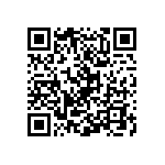 Y17451K10000Q9L QRCode