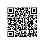 Y17451K20000T0L QRCode