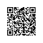 Y17451K20000T9L QRCode