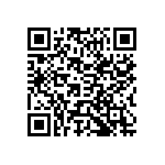 Y17461K33000A0R QRCode