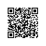 Y174631K3000Q0R QRCode