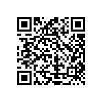 Y17493K48000F0L QRCode