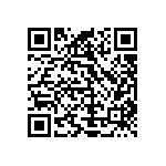 Y1750200K000B9L QRCode