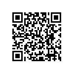 Y40146K80000T9W QRCode