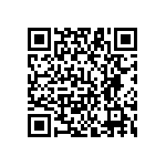 YB16SKG01-5D-JD QRCode