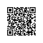 YB16SKW01-5D24-JD QRCode