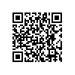 YB16WSKW01-5D-JD QRCode