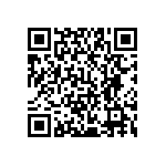 YB25KKW01-28-BB QRCode