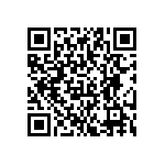 YB25WSKW01-5D-JD QRCode