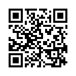 YK4131933000G QRCode