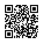 0010081121 QRCode