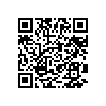 0201BW333K160NGT QRCode