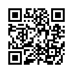 0251-125MRT1 QRCode