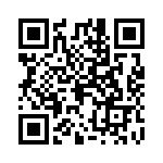 02810005H QRCode