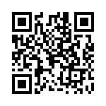 0287020-H QRCode