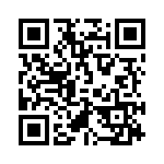 0295070-T QRCode