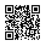 031-2389 QRCode