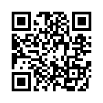 0310131300 QRCode