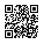 0310135300 QRCode