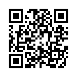 0310211300 QRCode