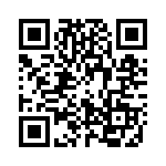 03400313Z QRCode