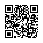 03453LS4H QRCode