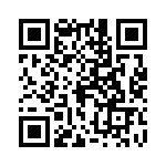 0380090304 QRCode