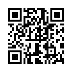 0382290204 QRCode