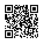 0383300704 QRCode