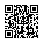 0385400713 QRCode