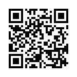 0386313009 QRCode