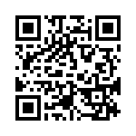 0387406128 QRCode