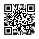 0387702028 QRCode