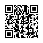 04023C102KAT2A QRCode