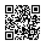 04025A1R8CAT2A QRCode