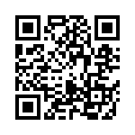 0402N391F500CT QRCode